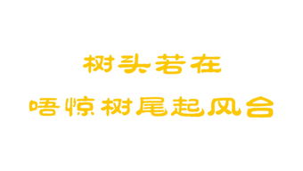 數字娛樂浪潮下的雙子星 唯覓互娛與天騏互娛的差異化生存之道